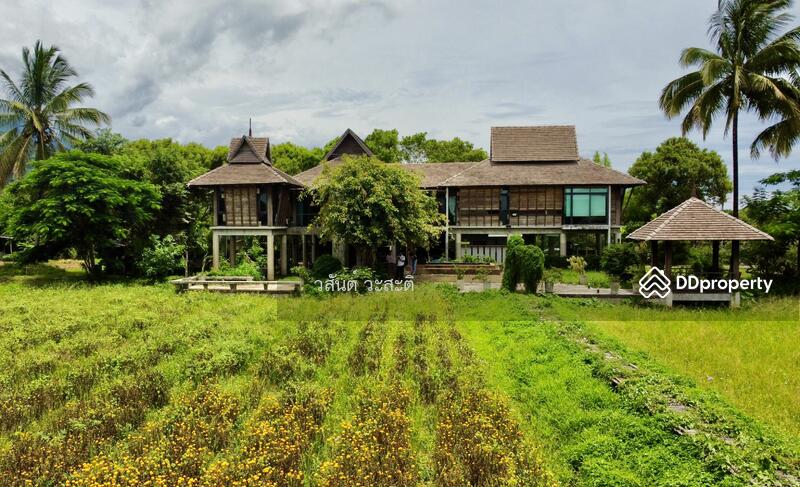 For Sale - บ้านไม้ หลังใหญ่ สไตล์ล้านนา ดอยตุง เชียงราย, Chiang Rai
