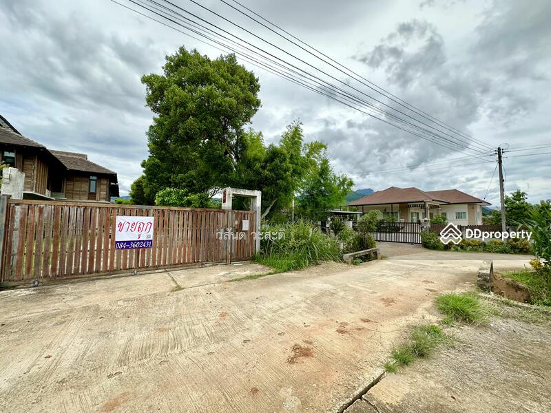 For Sale - บ้านไม้ หลังใหญ่ สไตล์ล้านนา ดอยตุง เชียงราย, Chiang Rai