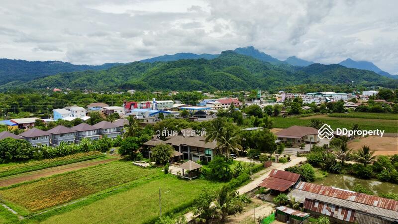 For Sale - บ้านไม้ หลังใหญ่ สไตล์ล้านนา ดอยตุง เชียงราย, Chiang Rai