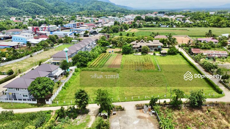For Sale - บ้านไม้ หลังใหญ่ สไตล์ล้านนา ดอยตุง เชียงราย, Chiang Rai