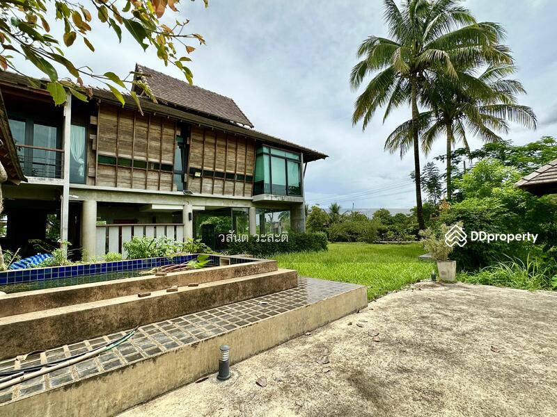 For Sale - บ้านไม้ หลังใหญ่ สไตล์ล้านนา ดอยตุง เชียงราย, Chiang Rai