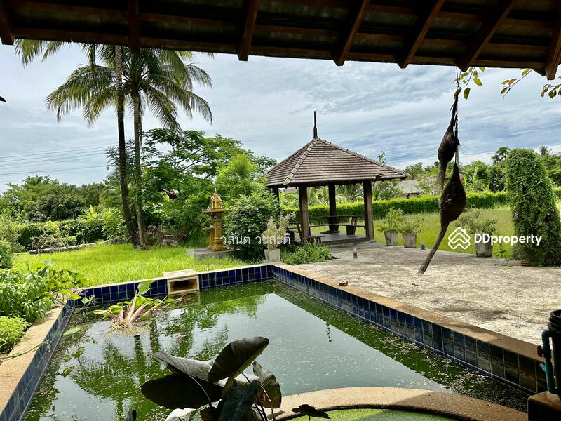 For Sale - บ้านไม้ หลังใหญ่ สไตล์ล้านนา ดอยตุง เชียงราย, Chiang Rai