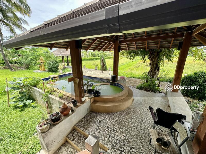 For Sale - บ้านไม้ หลังใหญ่ สไตล์ล้านนา ดอยตุง เชียงราย, Chiang Rai