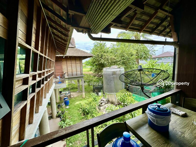 For Sale - บ้านไม้ หลังใหญ่ สไตล์ล้านนา ดอยตุง เชียงราย, Chiang Rai