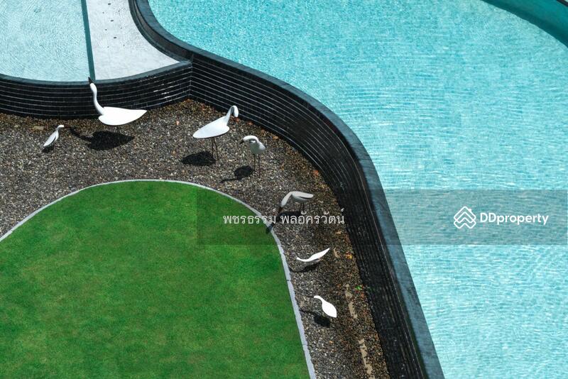 The Base Garden Rama 9 : เดอะ เบส การ์เด้น พระราม 9, กรุงเทพ, 18 ถนนพระราม 9, หัวหมาก, บางกะปิ, กรุงเทพ, 51 ตร.ม., คอนโด ให้เช่า, โดย รัฐพล ศิวาโมกข์, 10914988 - DDproperty.com