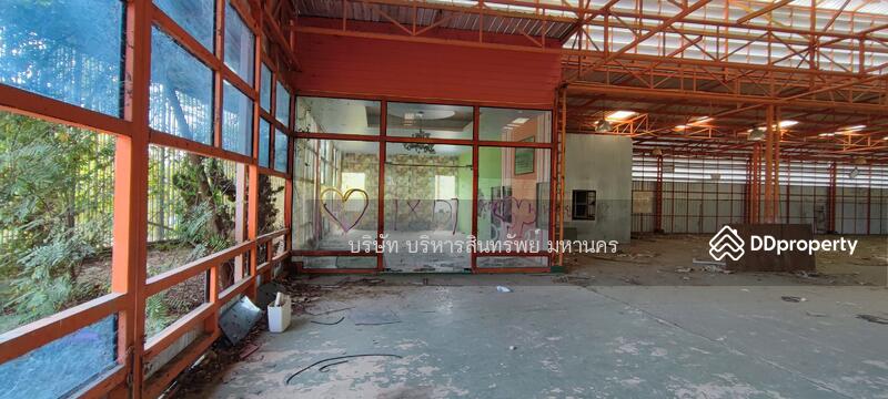 For Sale - Factory 1-3-62Rai. Nong Han San Sai Chiang Mai., Chiang Mai