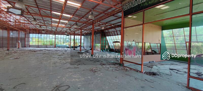 For Sale - Factory 1-3-62Rai. Nong Han San Sai Chiang Mai., Chiang Mai