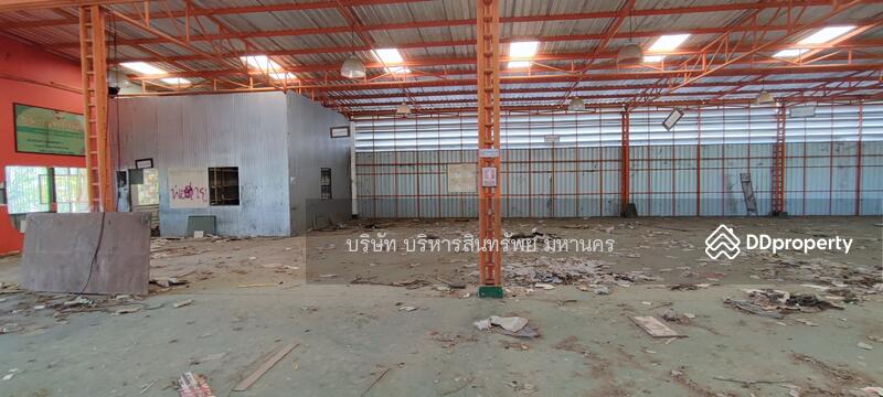 For Sale - Factory 1-3-62Rai. Nong Han San Sai Chiang Mai., Chiang Mai