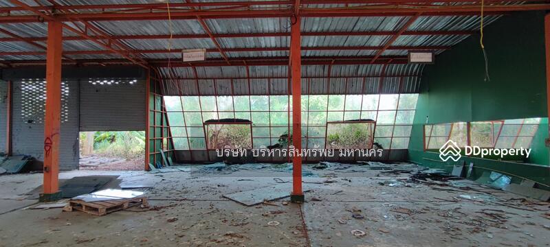 For Sale - Factory 1-3-62Rai. Nong Han San Sai Chiang Mai., Chiang Mai
