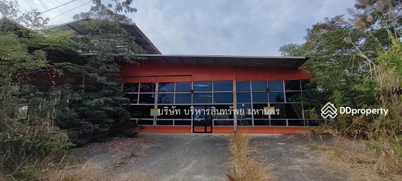 For Sale - Factory 1-3-62Rai. Nong Han San Sai Chiang Mai., Chiang Mai