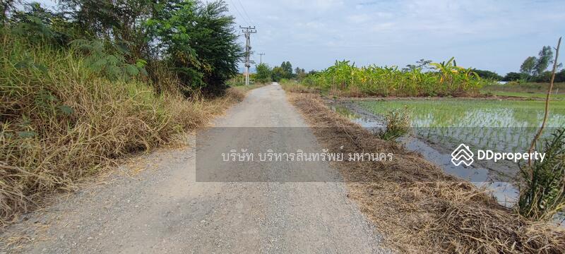 For Sale - Factory 1-3-62Rai. Nong Han San Sai Chiang Mai., Chiang Mai