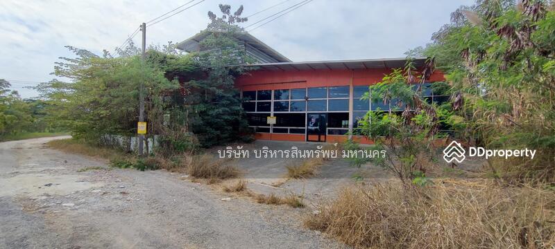 For Sale - Factory 1-3-62Rai. Nong Han San Sai Chiang Mai., Chiang Mai