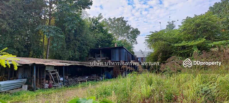 For Sale - Wharehouse 1-1-75 Rai. Ko Chang Mae Sai Chiang Rai., Chiang Rai