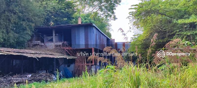 For Sale - Wharehouse 1-1-75 Rai. Ko Chang Mae Sai Chiang Rai., Chiang Rai