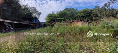 ขาย - 57130 โกดังชั้นเดียว 1-1-75ไร่ แม่สาย เชียงราย ขายตามสภาพ ต่อรองได้(P3103254), เชียงราย