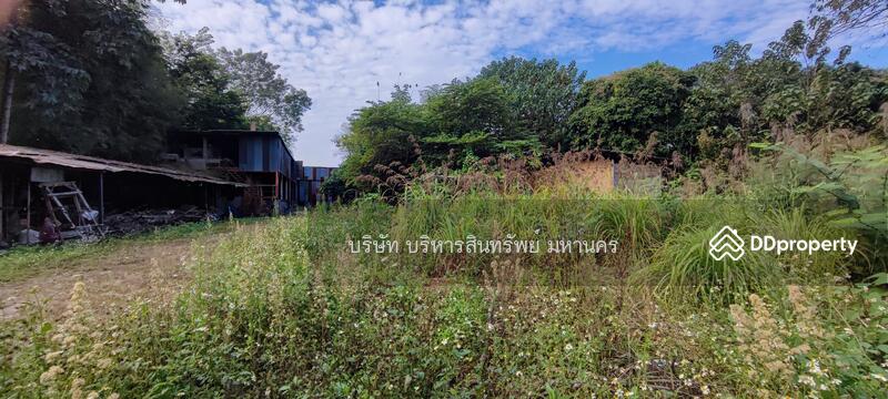 For Sale - Wharehouse 1-1-75 Rai. Ko Chang Mae Sai Chiang Rai., Chiang Rai