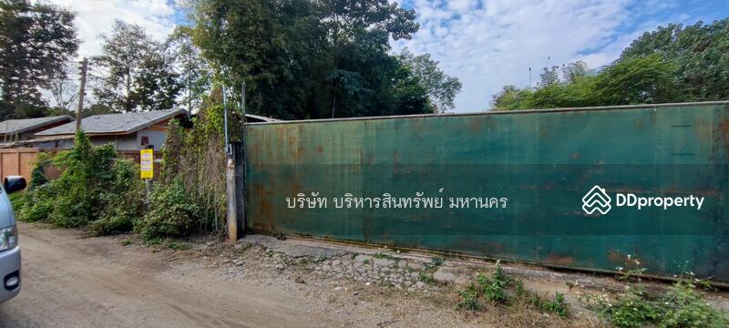 For Sale - Wharehouse 1-1-75 Rai. Ko Chang Mae Sai Chiang Rai., Chiang Rai