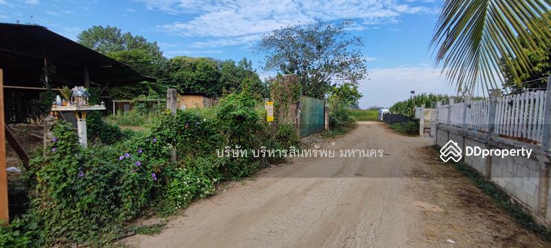 For Sale - Wharehouse 1-1-75 Rai. Ko Chang Mae Sai Chiang Rai., Chiang Rai