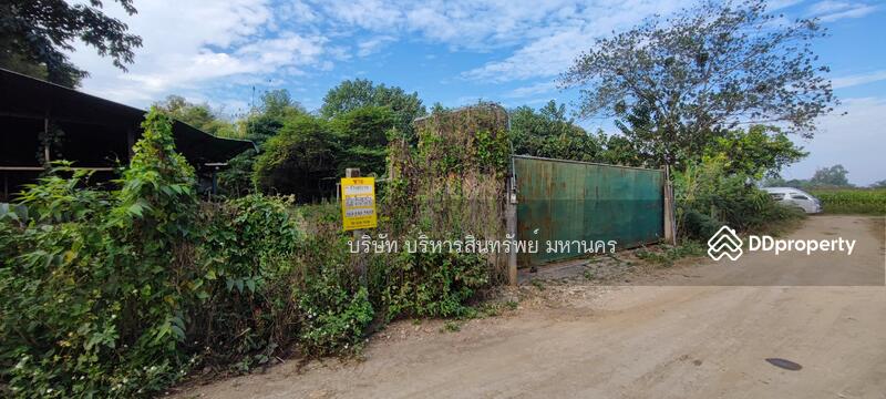For Sale - Wharehouse 1-1-75 Rai. Ko Chang Mae Sai Chiang Rai., Chiang Rai