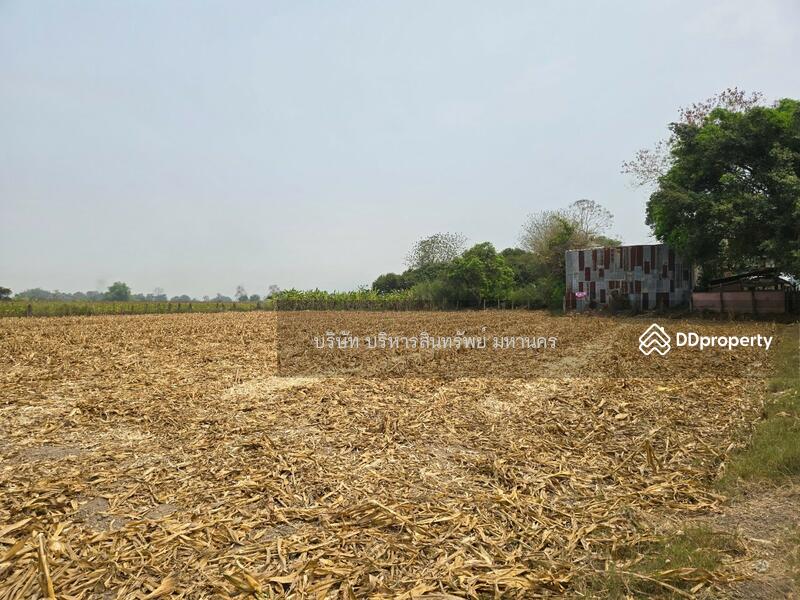 For Sale - Wharehouse 1-1-75 Rai. Ko Chang Mae Sai Chiang Rai., Chiang Rai