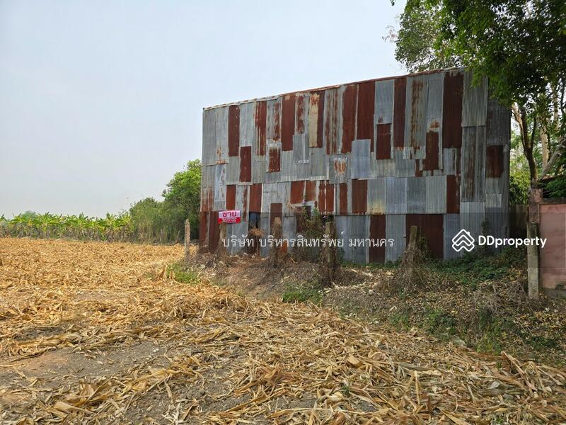 For Sale - Wharehouse 1-1-75 Rai. Ko Chang Mae Sai Chiang Rai., Chiang Rai