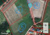 ที่ดินบ้านบึง เขต EEC 46-1-99 ไร่ ห่างโลตัสบ้านบึงเพียง 2 กม. - DDproperty.com