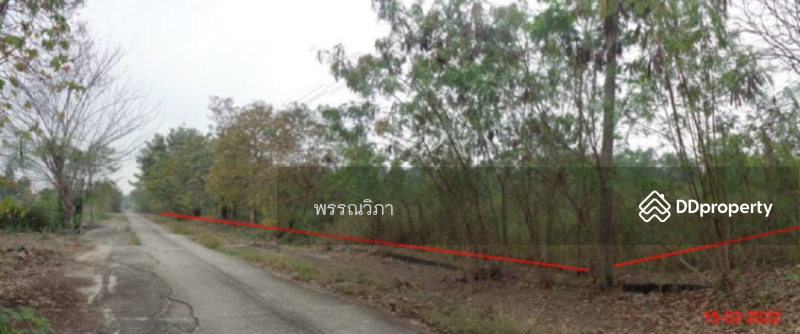 โครงการ Wellness City, พระนครศรีอยุธยา, แคตก, บางไทร, พระนครศรีอยุธยา, 6,472 ตร.ม., ที่ดิน ขาย, โดย คุณปริวรรตน์ (Ten), 10920012 - DDproperty.com