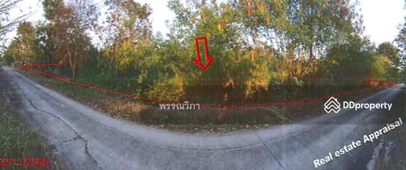 โครงการ Wellness City, พระนครศรีอยุธยา, แคตก, บางไทร, พระนครศรีอยุธยา, 6,472 ตร.ม., ที่ดิน ขาย, โดย คุณปริวรรตน์ (Ten), 10920012 - DDproperty.com