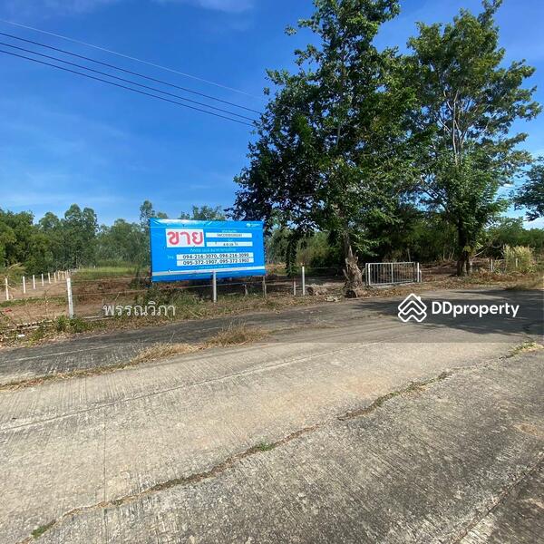 โครงการ Wellness City, พระนครศรีอยุธยา, แคตก, บางไทร, พระนครศรีอยุธยา, 6,472 ตร.ม., ที่ดิน ขาย, โดย คุณปริวรรตน์ (Ten), 10920012 - DDproperty.com