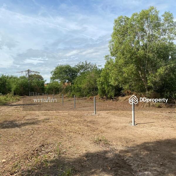 โครงการ Wellness City, Phra Nakhon Si Ayutthaya, Khae Tok, Bang-Sai, Phra Nakhon Si Ayutthaya, , 6,472 sqm, Land For Sale, by คุณปริวรรตน์ (Ten), 10920012 - DDproperty.com