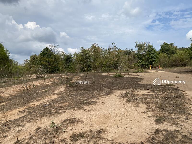ที่ดินเปล่า เขากระปุก ท่ายาง เพชรบุรี, Phetchaburi, ทางหลวงชนบท (พบ.5046), Kao Kra Puk, Tha Yang, Phetchaburi, , 250,534 sqm, Land For Sale, by ภทรชล, 10920264 - DDproperty.com