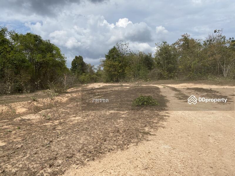 ที่ดินเปล่า เขากระปุก ท่ายาง เพชรบุรี, Phetchaburi, ทางหลวงชนบท (พบ.5046), Kao Kra Puk, Tha Yang, Phetchaburi, , 250,534 sqm, Land For Sale, by ภทรชล, 10920264 - DDproperty.com