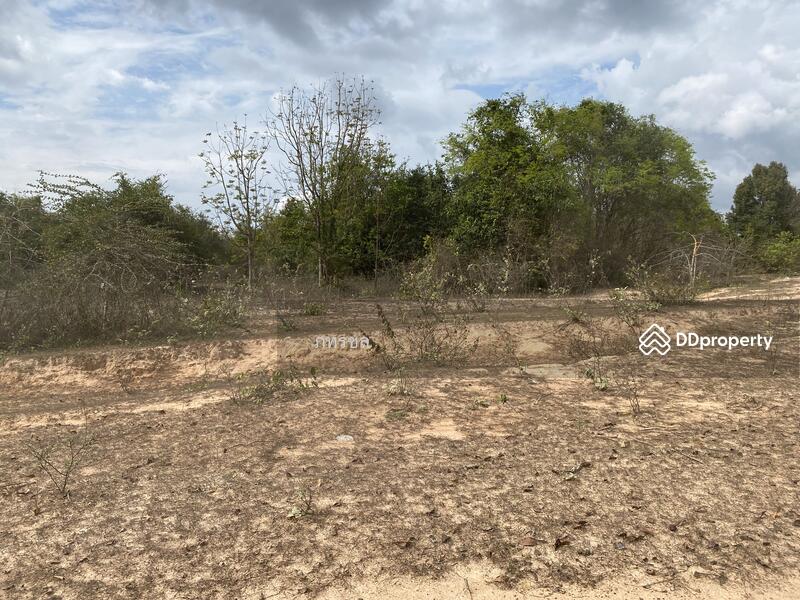 ที่ดินเปล่า เขากระปุก ท่ายาง เพชรบุรี, Phetchaburi, ทางหลวงชนบท (พบ.5046), Kao Kra Puk, Tha Yang, Phetchaburi, , 250,534 sqm, Land For Sale, by ภทรชล, 10920264 - DDproperty.com