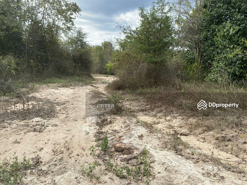 ที่ดินเปล่า เขากระปุก ท่ายาง เพชรบุรี, เพชรบุรี, ทางหลวงชนบท (พบ.5046), เขากระปุก, ท่ายาง, เพชรบุรี, 250,534 ตร.ม., ที่ดิน ขาย, โดย ภทรชล, 10920264 - DDproperty.com