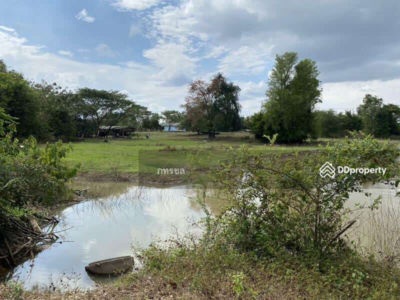 ที่ดินเปล่า เขากระปุก ท่ายาง เพชรบุรี, เพชรบุรี, ทางหลวงชนบท (พบ.5046), เขากระปุก, ท่ายาง, เพชรบุรี, 250,534 ตร.ม., ที่ดิน ขาย, โดย ภทรชล, 10920264 - DDproperty.com