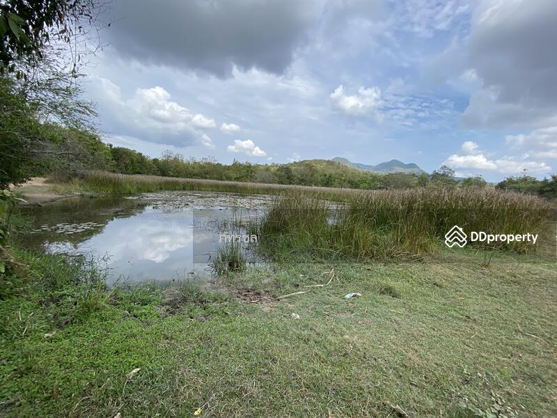 ที่ดินเปล่า เขากระปุก ท่ายาง เพชรบุรี, เพชรบุรี, ทางหลวงชนบท (พบ.5046), เขากระปุก, ท่ายาง, เพชรบุรี, 250,534 ตร.ม., ที่ดิน ขาย, โดย ภทรชล, 10920264 - DDproperty.com