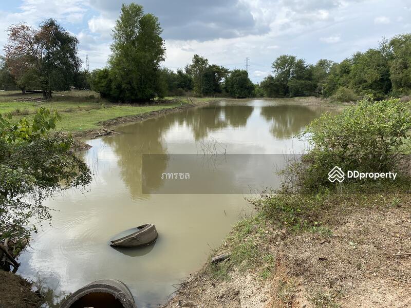 ที่ดินเปล่า เขากระปุก ท่ายาง เพชรบุรี, Phetchaburi, ทางหลวงชนบท (พบ.5046), Kao Kra Puk, Tha Yang, Phetchaburi, , 250,534 sqm, Land For Sale, by ภทรชล, 10920264 - DDproperty.com