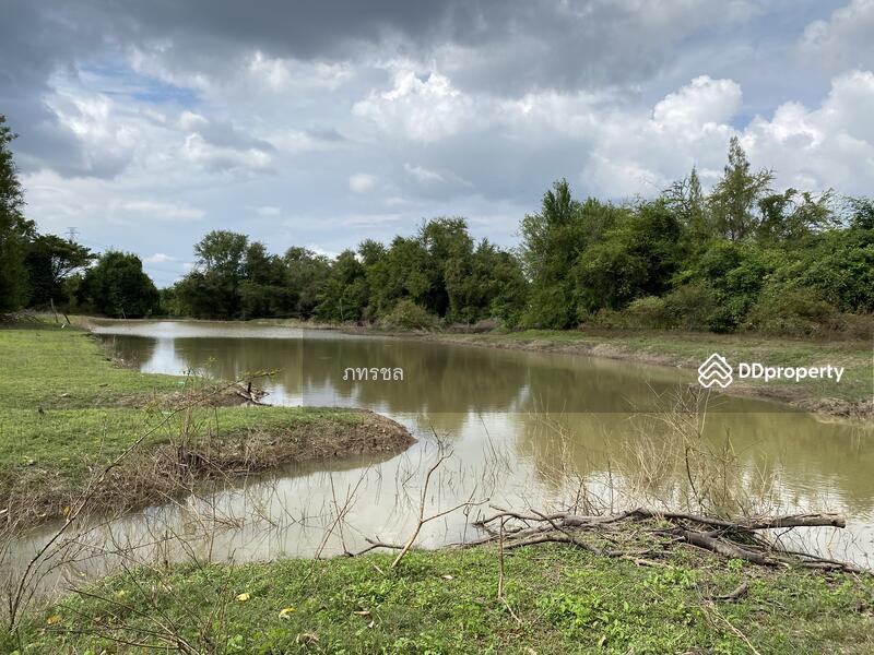 ที่ดินเปล่า เขากระปุก ท่ายาง เพชรบุรี, เพชรบุรี, ทางหลวงชนบท (พบ.5046), เขากระปุก, ท่ายาง, เพชรบุรี, 250,534 ตร.ม., ที่ดิน ขาย, โดย ภทรชล, 10920264 - DDproperty.com