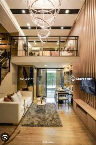 ให้เช่า - Modiz Sukhumvit 50 : โมดิซ สุขุมวิท 50, กรุงเทพ