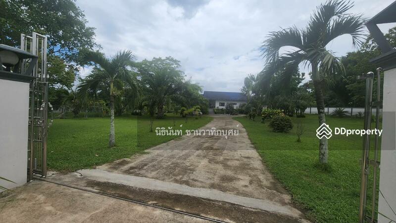 ขาย - ต.ห้วยสัก, เชียงราย