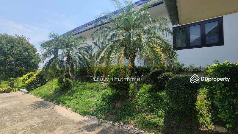 ขาย - ต.ห้วยสัก, เชียงราย