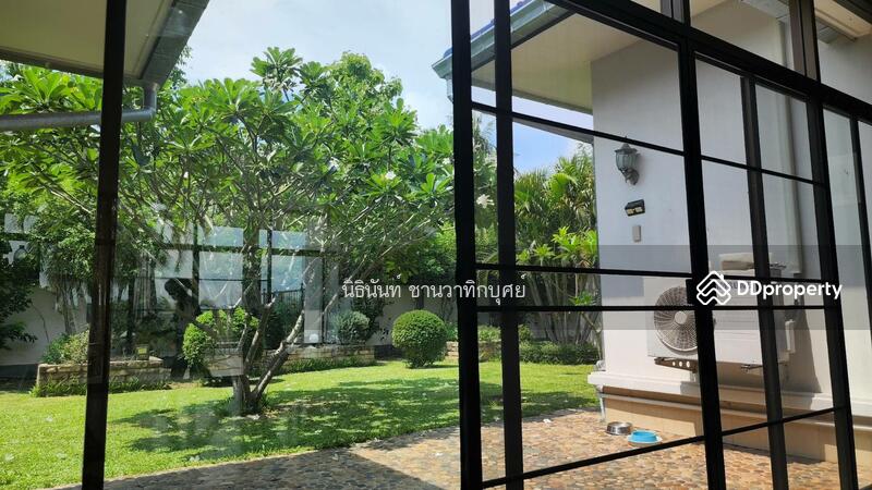 ขาย - ต.ห้วยสัก, เชียงราย