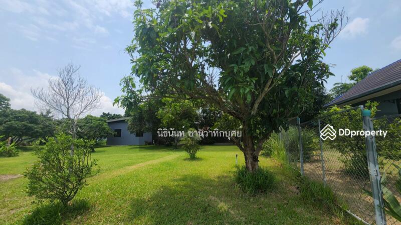 ขาย - ต.ห้วยสัก, เชียงราย