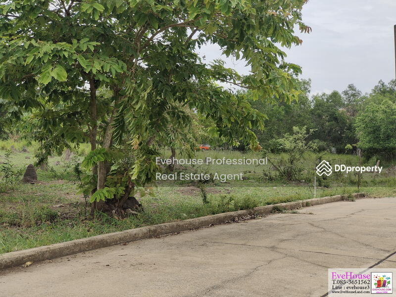 For Sale - Khlong Luang, Pathum Thani