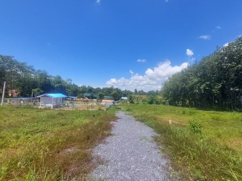 For Sale - ขายที่ดิน ต.อ่างทอง อ.เชียงคำ จ.พะเยา อยู่ติดถนนทางหลวง 4033 ทางลัดไป น่าน เชียงรายได้, Phayao