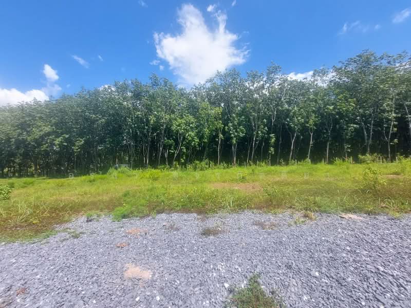 For Sale - ขายที่ดิน ต.อ่างทอง อ.เชียงคำ จ.พะเยา อยู่ติดถนนทางหลวง 4033 ทางลัดไป น่าน เชียงรายได้, Phayao