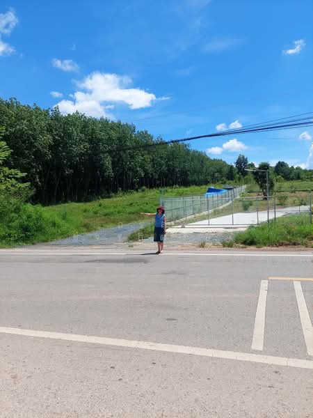 For Sale - ขายที่ดิน ต.อ่างทอง อ.เชียงคำ จ.พะเยา อยู่ติดถนนทางหลวง 4033 ทางลัดไป น่าน เชียงรายได้, Phayao