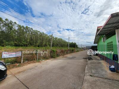 ขาย - ขาย ที่ดิน 1 ไร่ - 3 ไร่ ใกล้นิคมอุตสาหกรรม 304 ปราจีนบุรี ศรีมหาโพธิ ใกล้แหล่งงาน ใกล้ตลาด, ปราจีนบุรี