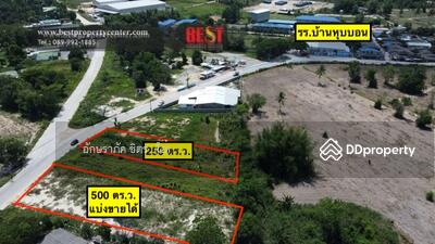 ขาย - ขายที่เปล่า ใกล้ โรงเรียน บ้านหุบบอน ติดถนน 250 ตร.ว. ตำบล เขาคันทรง อ. ศรีราชา ชลบุรี, ชลบุรี