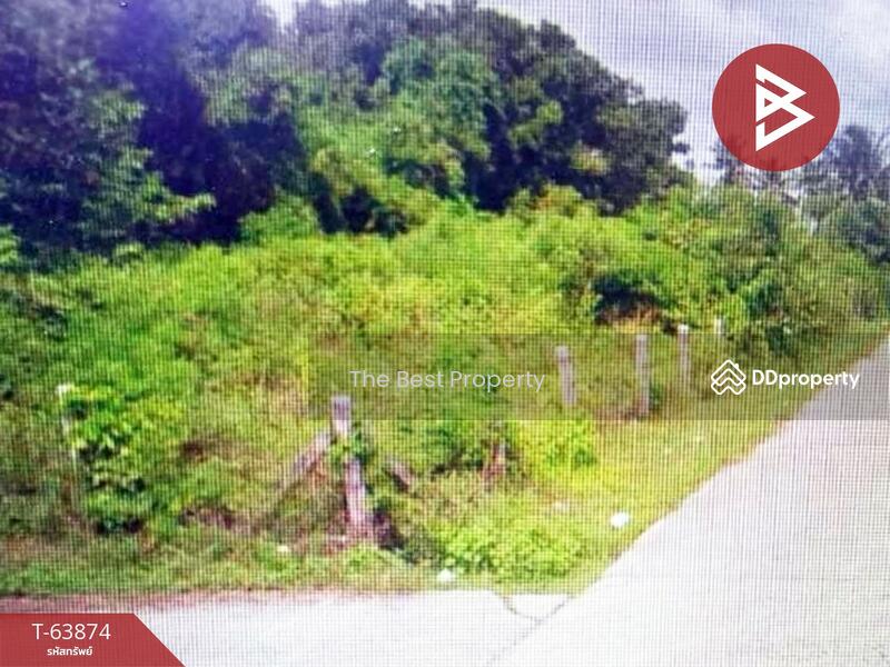ขาย - ที่ดินสทิงพระ สงขลา, สงขลา